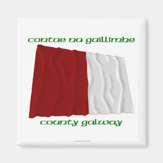 County Galway Colours Magnet