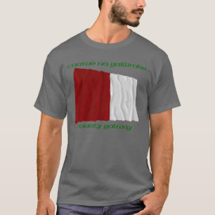 County Galway Colours T-Shirt
