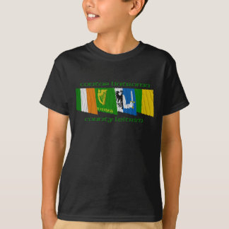 County Leitrim Flags T-Shirt