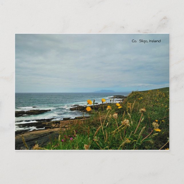 County Sligo, Ireland Postcard (Front)