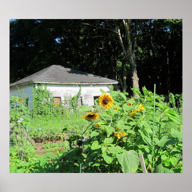 Countyr Garden Poster (Front)