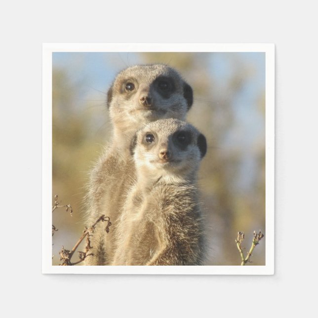 Couple of Meerkats Photo Napkin (Front)