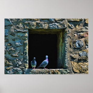 Couple of pigeons in the castle window poster