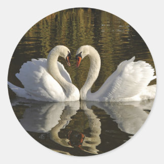 Couple of Swans Classic Round Sticker