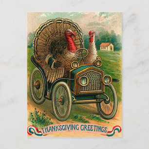 Couple of turkeys on a classic car, vintage funny postcard