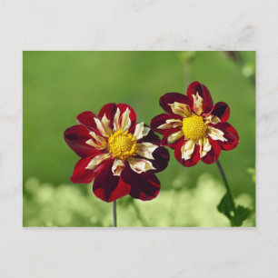 Couple Postcard