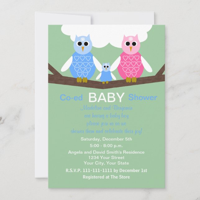 Couples Coed Boy Baby Shower Invitation Owls (Front)