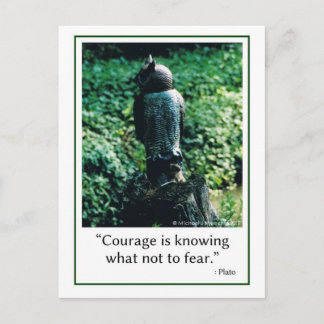 Courage in Everything Postcard