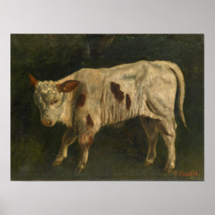 Courbet - The Calf Poster