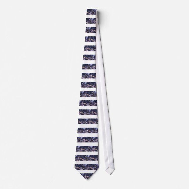 Courchevel Mountain Snow Tie (Front)