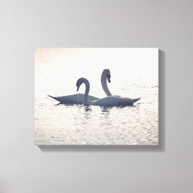 Courting Swans Nature Photo Canvas Print (Front)