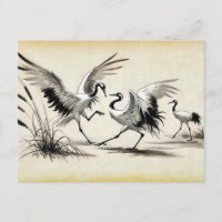 Courtship Dance of Two Cranes in the Marsh Chinese