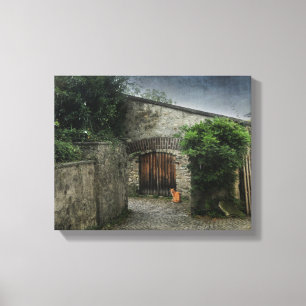 Courtyard Cat Canvas Print