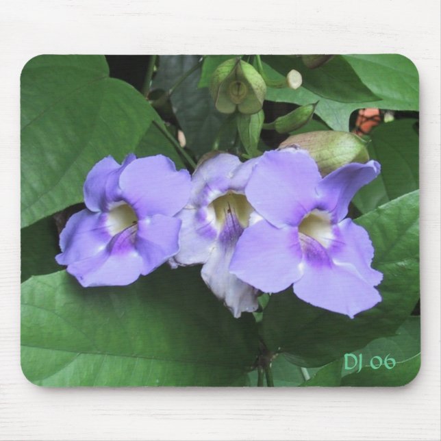 Courtyard flowers, DJ 06 Mouse Pad (Front)