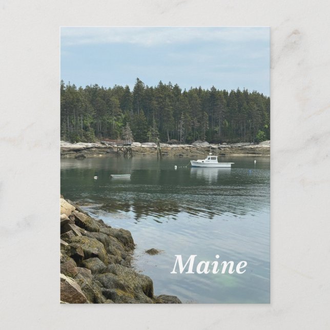 Cove in Maine Holiday Postcard (Front)