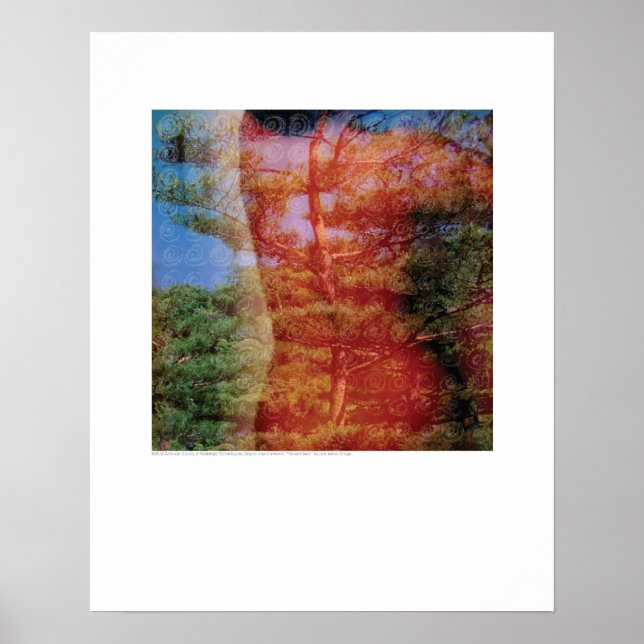 Cover art - Tree and Back - Griego Poster (Front)