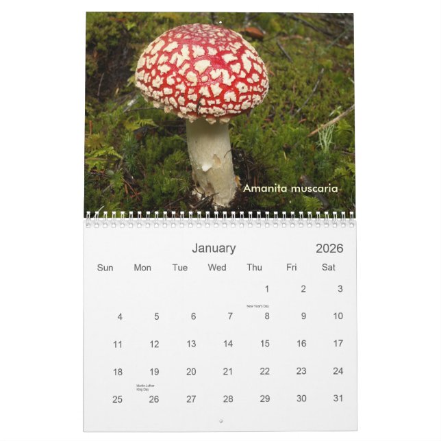 Cover , Fungi of the Northwest. Calendar (Jan 2026)