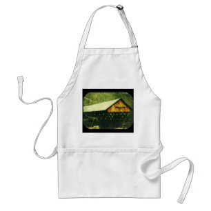 Covered Bridge Apron
