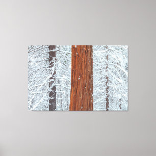 Covered  canvas print