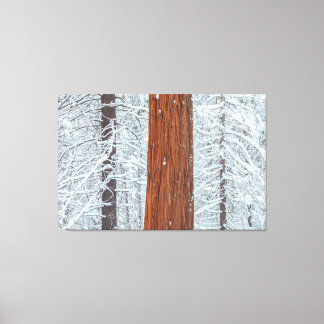 Covered  canvas print