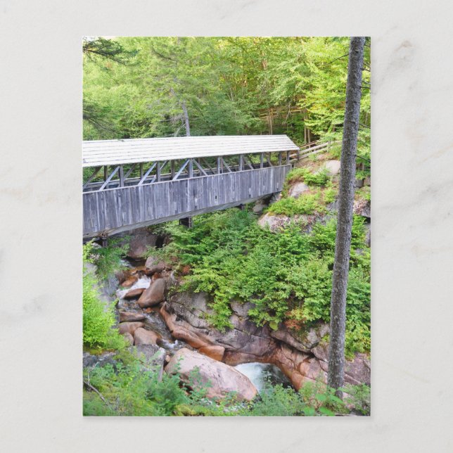 Covered Wooden Bridge Sentinel Pine Postcard (Front)