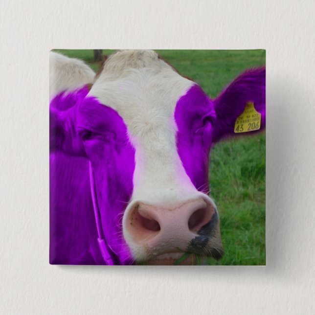 cow 15 cm square badge (Front)