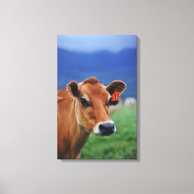 cow 3 canvas print (Front)