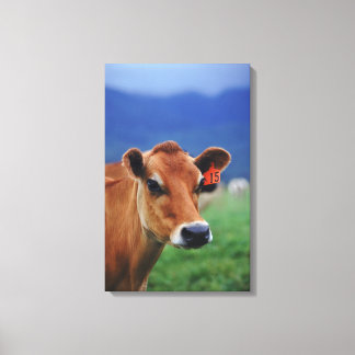 cow 3 canvas print