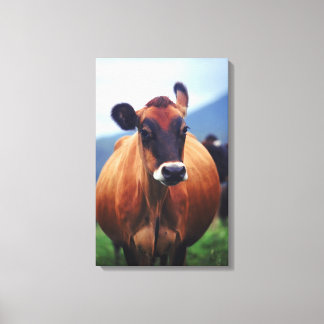 cow 4 canvas print
