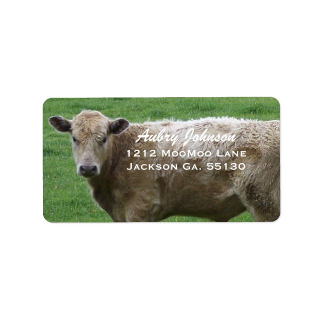 Cow Address Labels (Front)