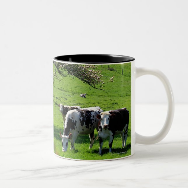 Cow among blooming apple trees in Normandy Two-Tone Coffee Mug (Right)