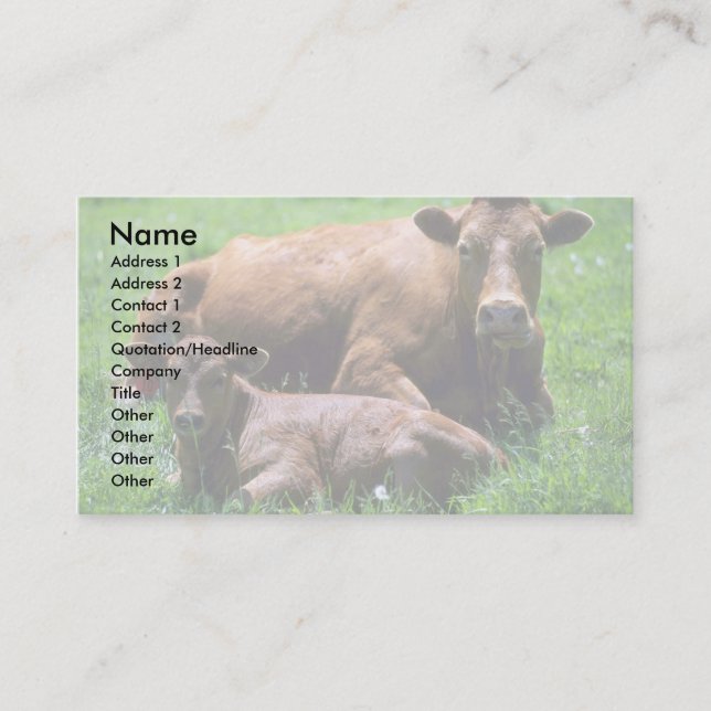 Cow And Calf Business Card (Front)