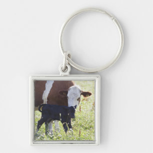 Cow and calf key ring