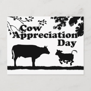 Cow Appreciation Day Postcard