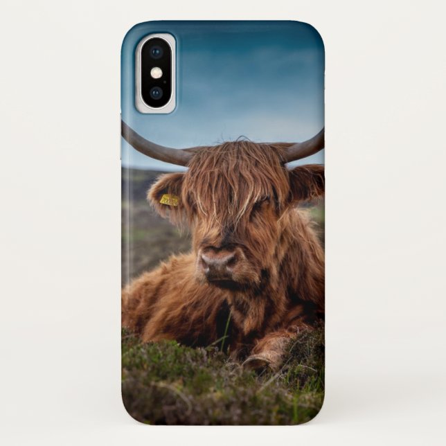Cow Beef Scotland Highland iPhone Case (Back)