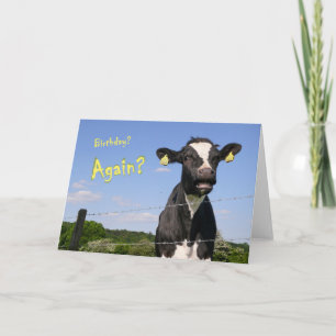Cow birthday card