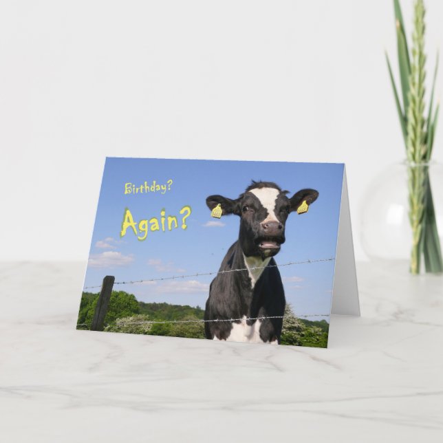 Cow birthday card (Front)