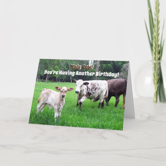 Cow Birthday Card - Farm Series - Folded Card (Front)