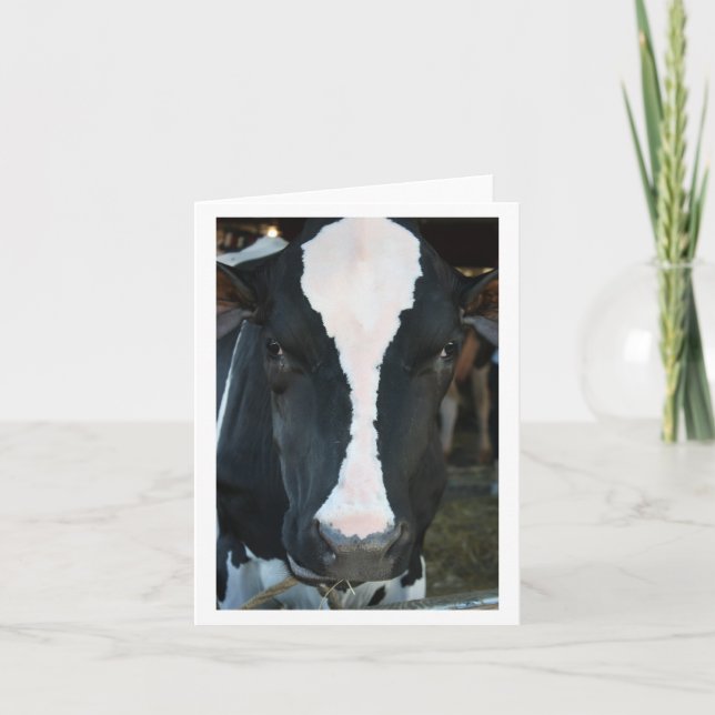 Cow Blank Card (Front)