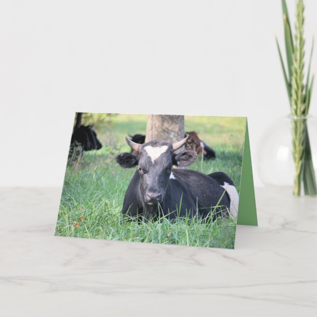 Cow Card (Front)