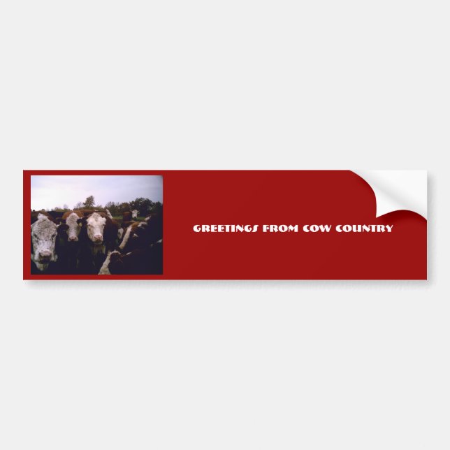 Cow Country Bumper Sticker (Front)
