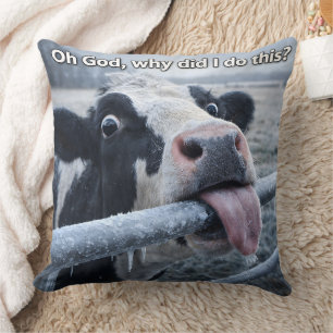 Cow cushion, oh God, why did I do this? Cushion