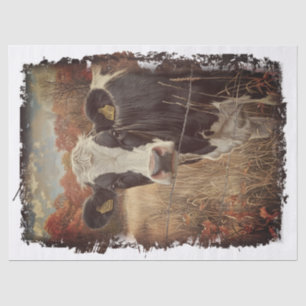Cow Dairy Milking Holstein Friesian Tissue Paper