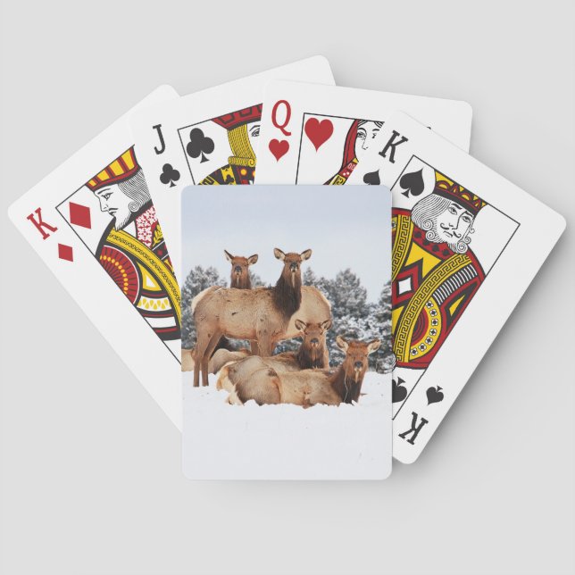 Cow Elk Bicycle Playing Cards (Back)