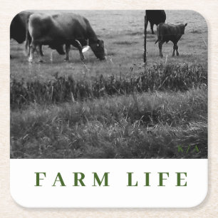 Cow Family Theme Drink Coasters