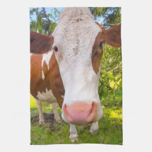 Cow Farm Animal Portrait Photo Tea Towel