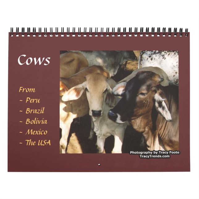 Cow Farm Animals Calendar (Cover)