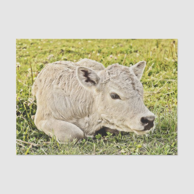 Cow Farm Rustic Country Decoupage Tissue Paper (Front)