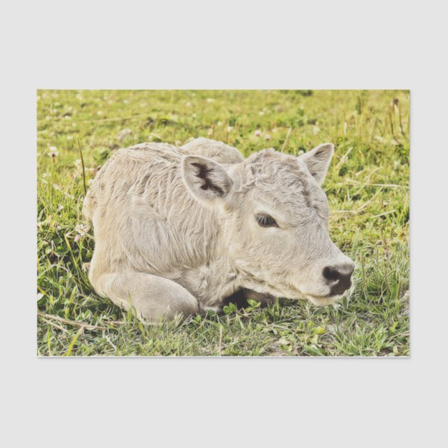 Cow Farm Rustic Country Decoupage Tissue Paper (Front)