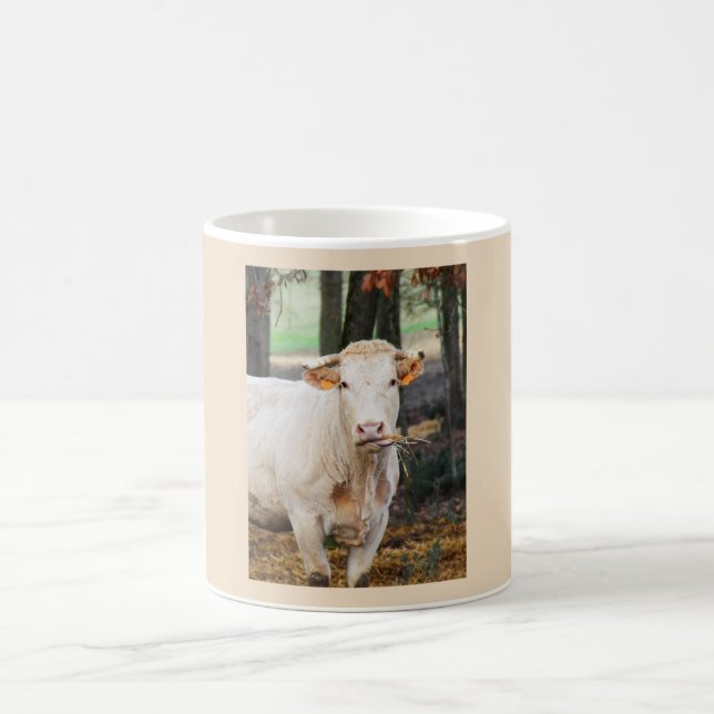 Cow feeding in France Coffee Mug (Center)